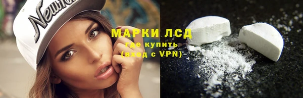 эйфоретик Арсеньев