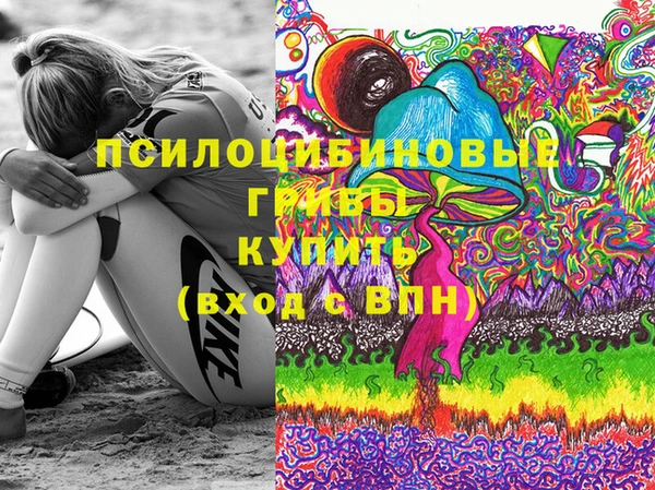 эйфоретик Арсеньев