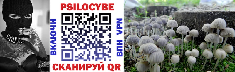 Псилоцибиновые грибы мухоморы  Казань 