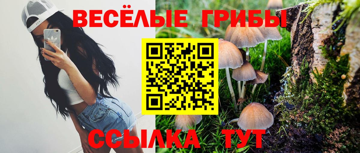 Галлюциногенные грибы Cubensis Казань